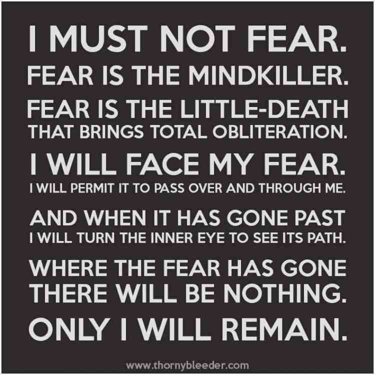 fear-is-the-mindkiller.jpg